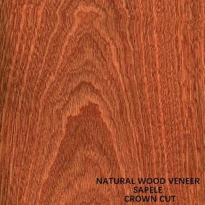 Panel Dan Pintu Veneer Kayu Sapele Alami Afrika Potong Datar Butir Mahkota Kelas AAA