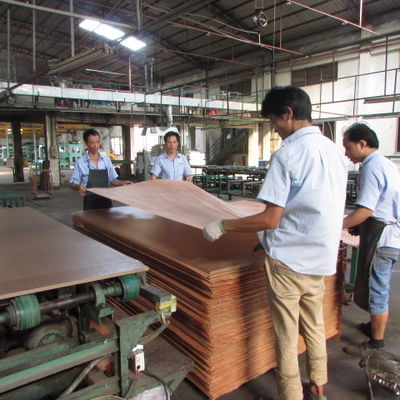 Fancy Natural Maple Birds Eye Plywood Hotel Dekorasi Layanan Disesuaikan Ukuran Panjang