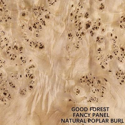 Fancy Panel Faced Natural White Poplar Burl Wood Veneer Untuk Dekorasi Hotel 2440/2745mm Diperpanjang Ukuran China Supply