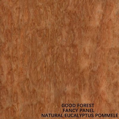 Eucalyptus Fancy Plywood Board Pommele Grain 2745mm Ukuran Panjang Khusus Untuk Dekorasi Hotel
