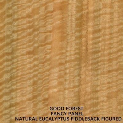 Un Normal Eucalyptus Fiddleback Pikir Fancy Plywood Board MDF Chipboard 3/5/9/12/15/18/25/30mm Tebal