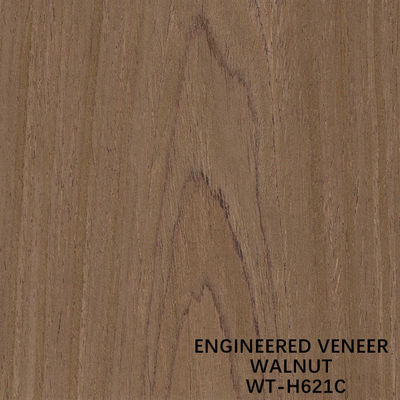 Veneer Kayu Walnut EV H621C Natural Walnut Crown Butir 2500mm 2800mm