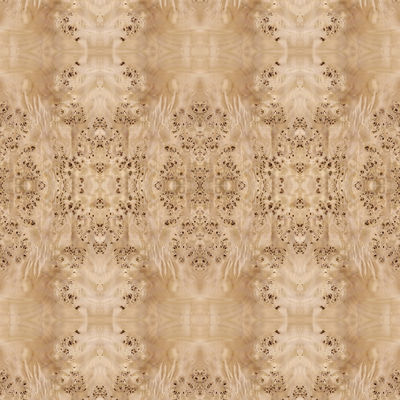 Fancy Panel Faced Natural White Poplar Burl Wood Veneer Untuk Dekorasi Hotel 2440/2745mm Diperpanjang Ukuran China Supply
