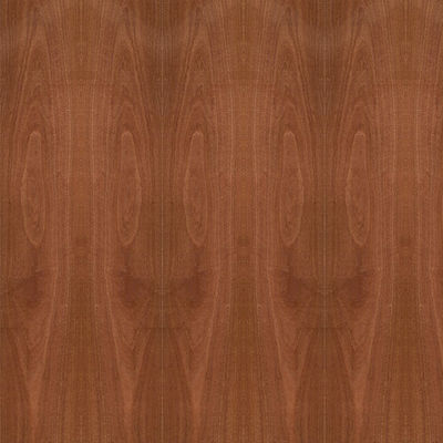Fancy Plywood Natural Sapele Wood Veneer Crown Grain 5/9/12/15/18/25 / 30mm