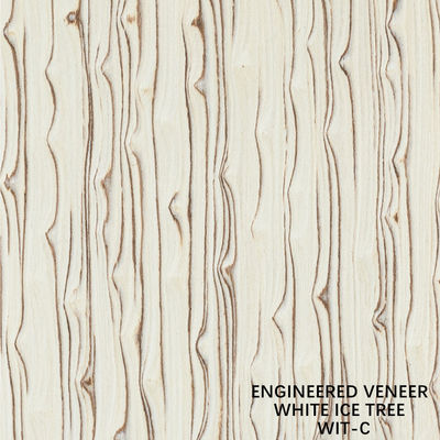 Simulasi Kayu Putih Ice Tree Veneer 3100mm Indoor Dekorasi Papan