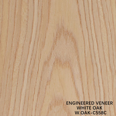 White Oak Engineered Wood Flat Cut Veneer Crown Grain 558C Untuk Dekorasi Hotel