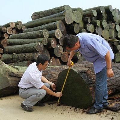Mesin Kayu Veneer Potongan Potongan Wenge Perempat Gandum Harga Baik Untuk Dekorasi Hotel 3200mm