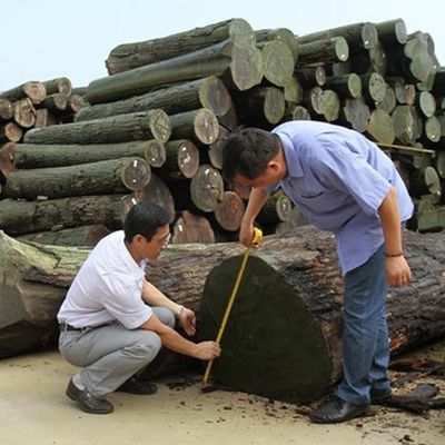 Desain Baru Veneer Kayu Cedar Buatan FCW-L146N/L246C Teknik Potong Irisan 2*8 Inci Untuk Muka Kabinet