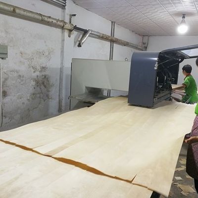 Layanan yang disesuaikan dengan ukuran 3100mm