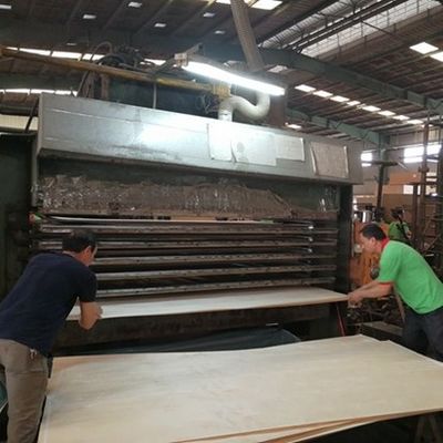 Roman RN-X8092C Crown Grain Tekstur Irregular 2500-3100mm Desain Pintu Kayu Modern