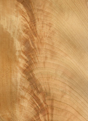 Natural American Cherry Wood Veneer Sheet Slice Flat Cut 2200-3200mm Ukuran Normal Untuk Dekorasi Furnitur