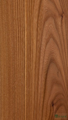 Kayu Solid Lembar Elm Amerika Kelas A Untuk Potongan Perempat Crown Grain Warna Alami Untuk Pintu Wajah 3200mm Up