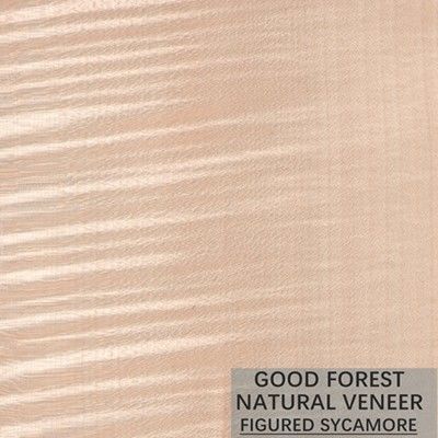 Natural Sycamore Figured Wood Veneer 0.3mm - 0.5mm Untuk Pintu Interior