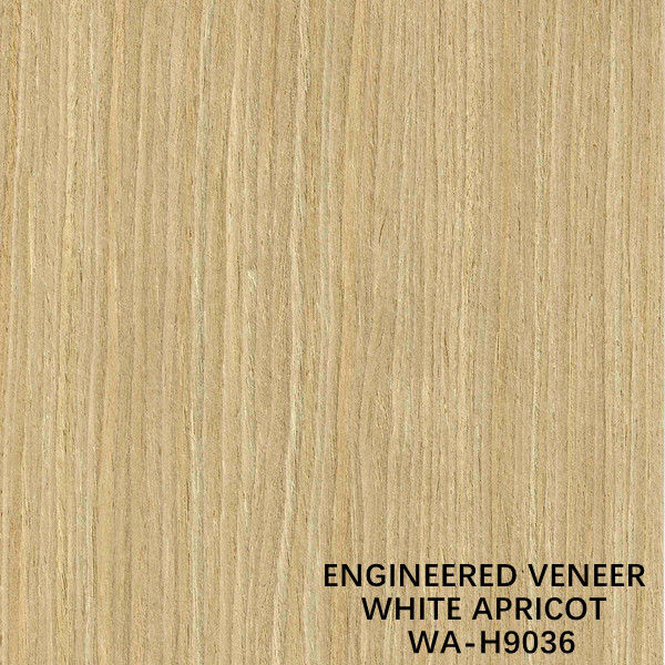 ISO Simulasi Veneer Kayu Aprikot Putih H9036 Potongan Lurus Untuk Produsen Wajah Kabinet Dari Cina