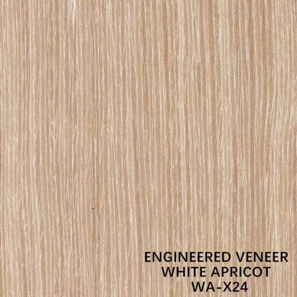 Veneer Kayu Aprikot Dekoratif yang Direkayasa Direkonstitusi X24 Butir Vertikal Aprikot Putih Populer Digunakan Untuk Wajah Kabinet