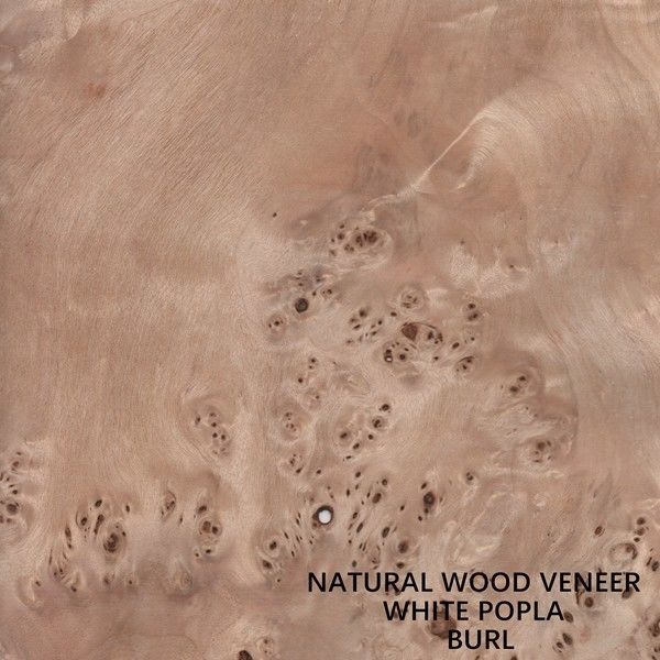 Veneer Kayu Poplar Alami Eropa Mapa Burl Grain Ketebalan Kualitas Tinggi 0.5mm Untuk Alat Musik