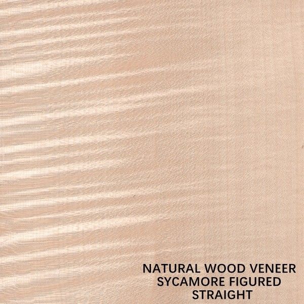 Eropa Natural Sycamore Wood Veneer Quarter Cut Lurus Ketebalan Butir 0.5mm Untuk Sekarat Dan Kabinet