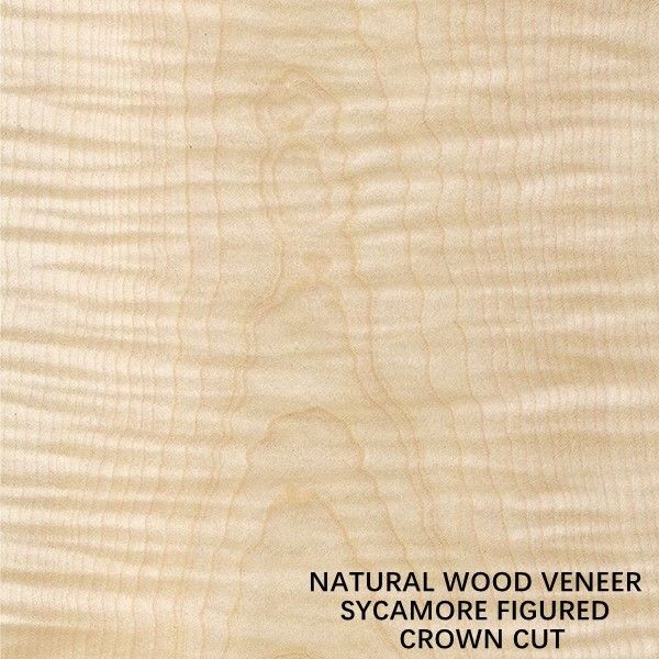 Eropa Natural Sycamore Wood Veneer Flat Cut Crown Cut Tebal 0.5mm Untuk Sekarat Dan Kabinet