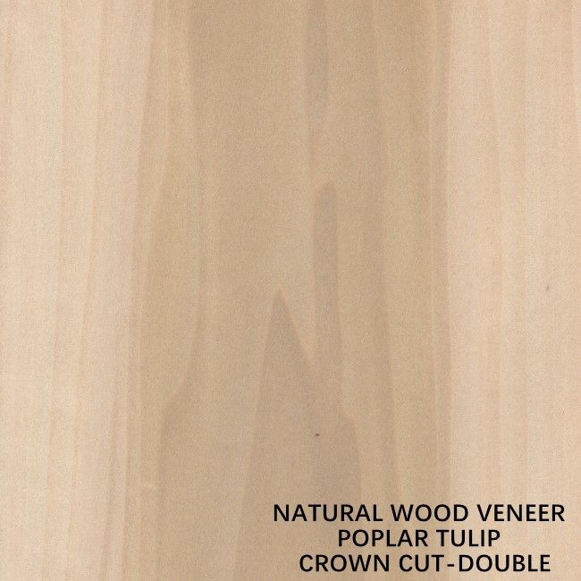 Double Color American Natural Poplar Wood Veneer Flat Cut Crown Untuk Kayu Lapis Mewah