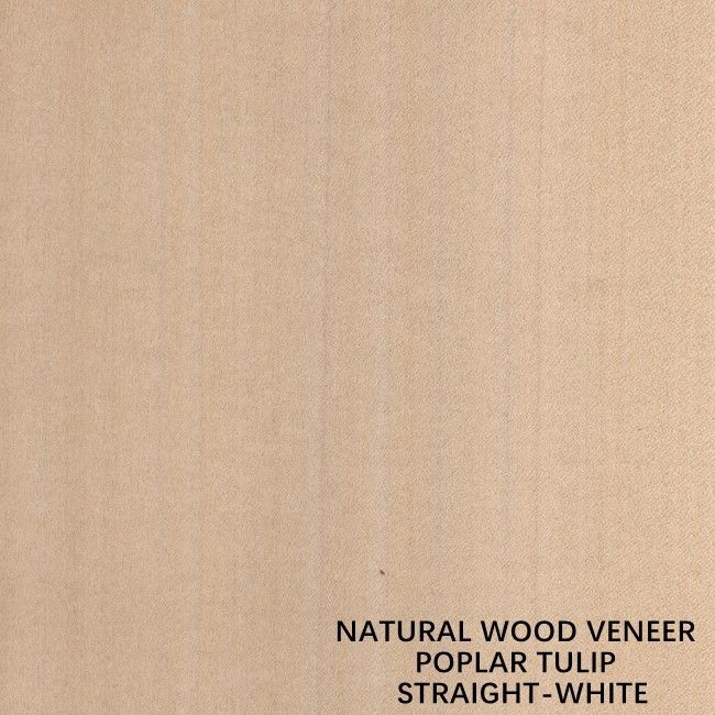 Veneer Kayu Poplar Alami Warna Putih Lurus Amerika Untuk Kayu Lapis / Pintu Mewah