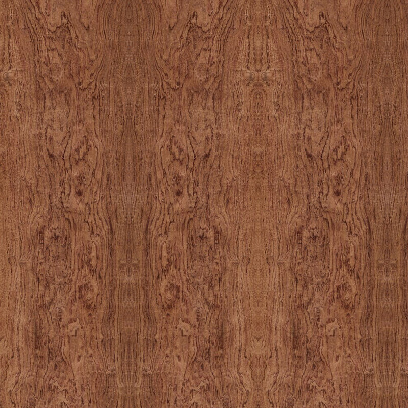 Papan Kayu Lapis Fancy Elm Cluster Khusus Untuk Cat Dekorasi Hotel Gratis