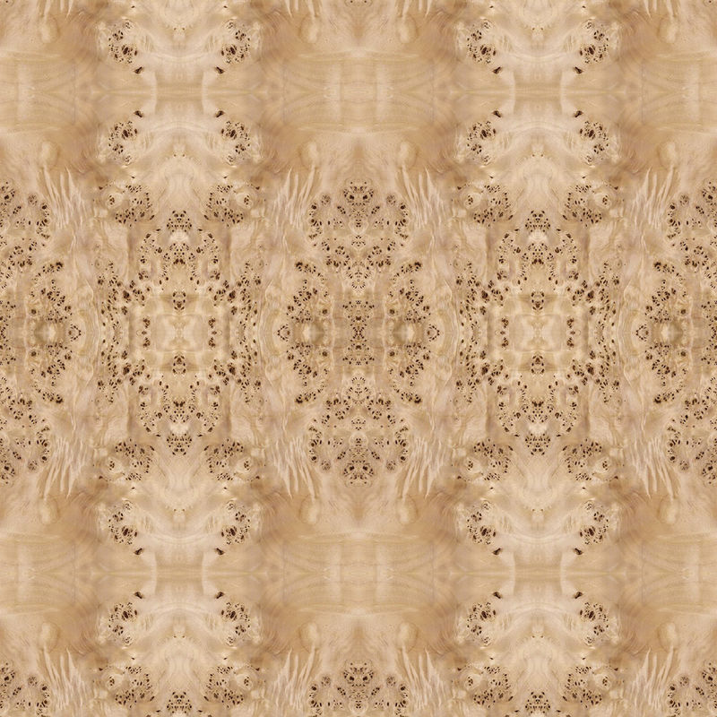 Fancy Panel Faced Natural White Poplar Burl Wood Veneer Untuk Dekorasi Hotel 2440/2745mm Diperpanjang Ukuran China Supply