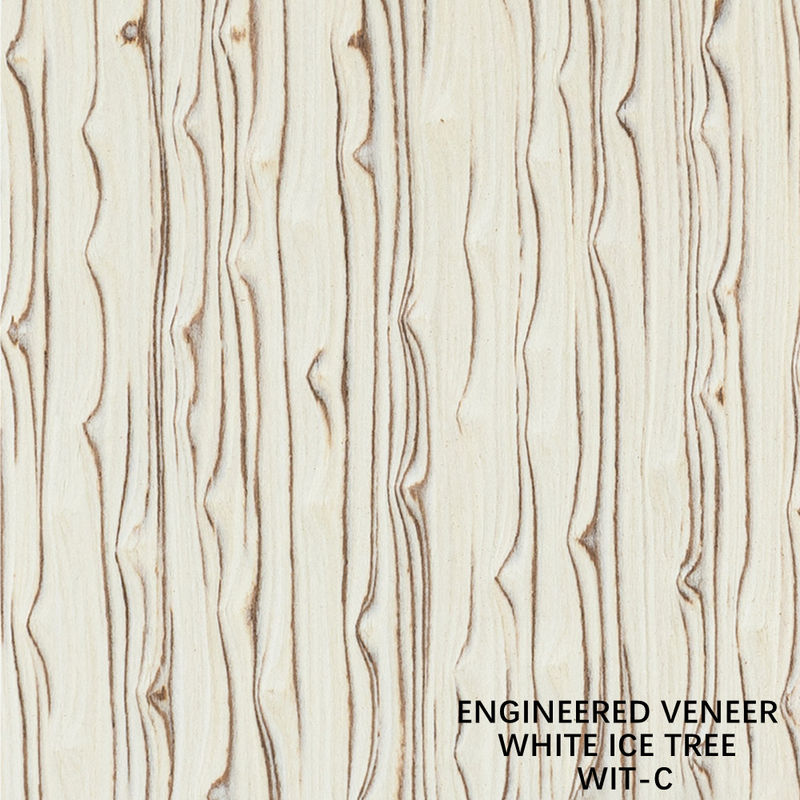 Simulasi Kayu Putih Ice Tree Veneer 3100mm Indoor Dekorasi Papan
