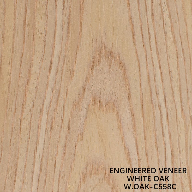 White Oak Engineered Wood Flat Cut Veneer Crown Grain 558C Untuk Dekorasi Hotel