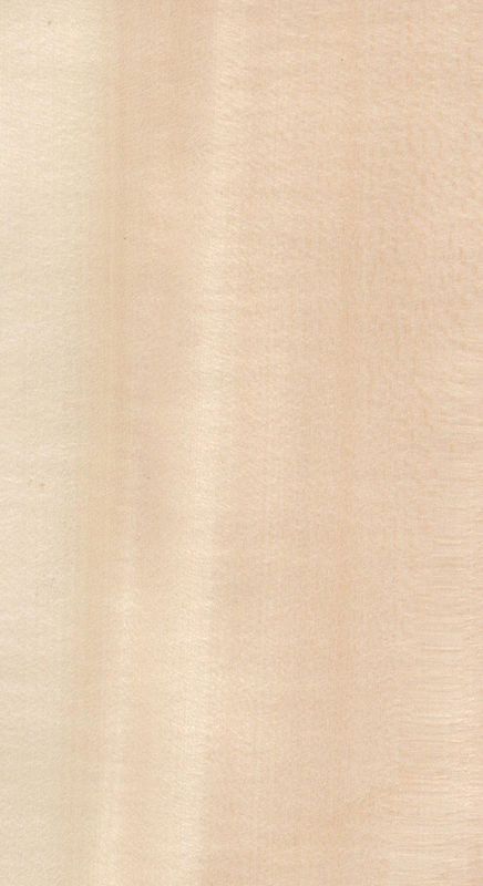 Real Wood Veneer Basswood Slice Cut Untuk Ukuran 13cm Up Flat Cut Straight Untuk Kabinet Face Sheet