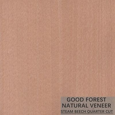 Veneer Beech Kukus Alami Membungkus Veneer Butir Vertikal Luar Biasa