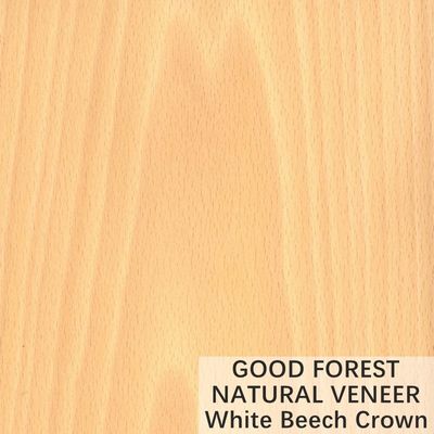 Layanan Pemotongan Mahkota Veneer Kayu Beech Putih Alami yang Disesuaikan