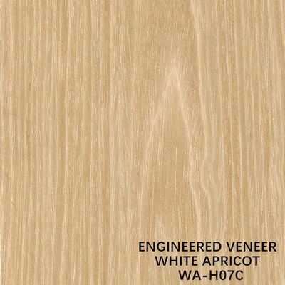 Hotel Recon Veneer Kayu White Apricot H07C Flat Cut Panjang 3100mm