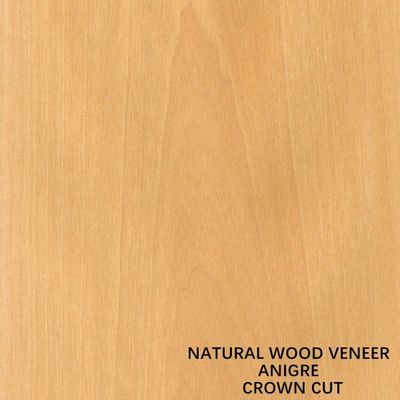 Dekorasi Kayu alami Anigre Veneer Flat Cut Crown Grain 0.18-0.55 mm Ketebalan