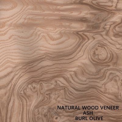 Tidak biasa Natural White Ash Wood Veneer Burl Olive AA Grade Untuk Ketebalan Penutup Dinding 0.5mm