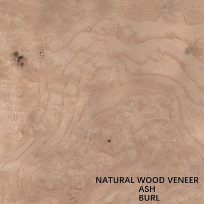 Hotel Natural White Ash Veneer Wood Burl Grain Tebal 0.55mm Harga Bagus Untuk Untuk Dekorasi Hotel China Wholesale
