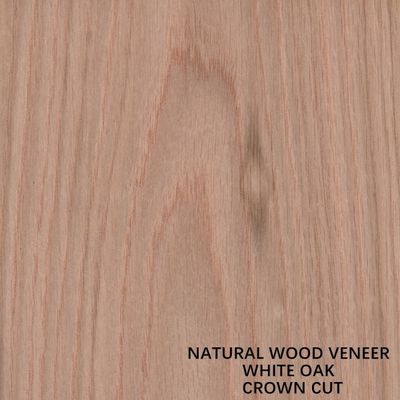 American Natural Oak Wood Veneer Flat Cut Crown Cut Grain Grade AAA Tebal 0.5-0.55mm Untuk Wajah Kabinet China