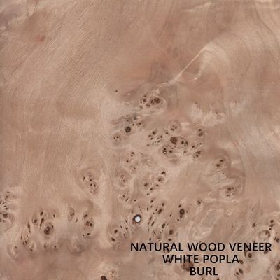 Veneer Kayu Poplar Alami Eropa Mapa Burl Grain Ketebalan Kualitas Tinggi 0.5mm Untuk Alat Musik