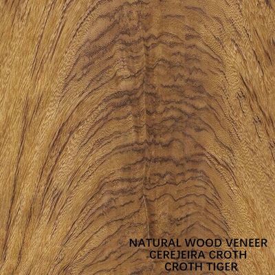 America Natural Cherry Crotch Veneer Khusus Tiger Grain Untuk Dekorasi Hotel