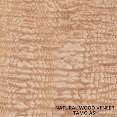 Ketebalan 0.5mm Natural Tamo Ash Veneer Untuk Interior Mobil Dan Alat Musik