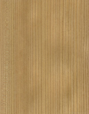 Kayu Solid Lembar Elm Amerika Kelas A Untuk Potongan Perempat Crown Grain Warna Alami Untuk Pintu Wajah 3200mm Up